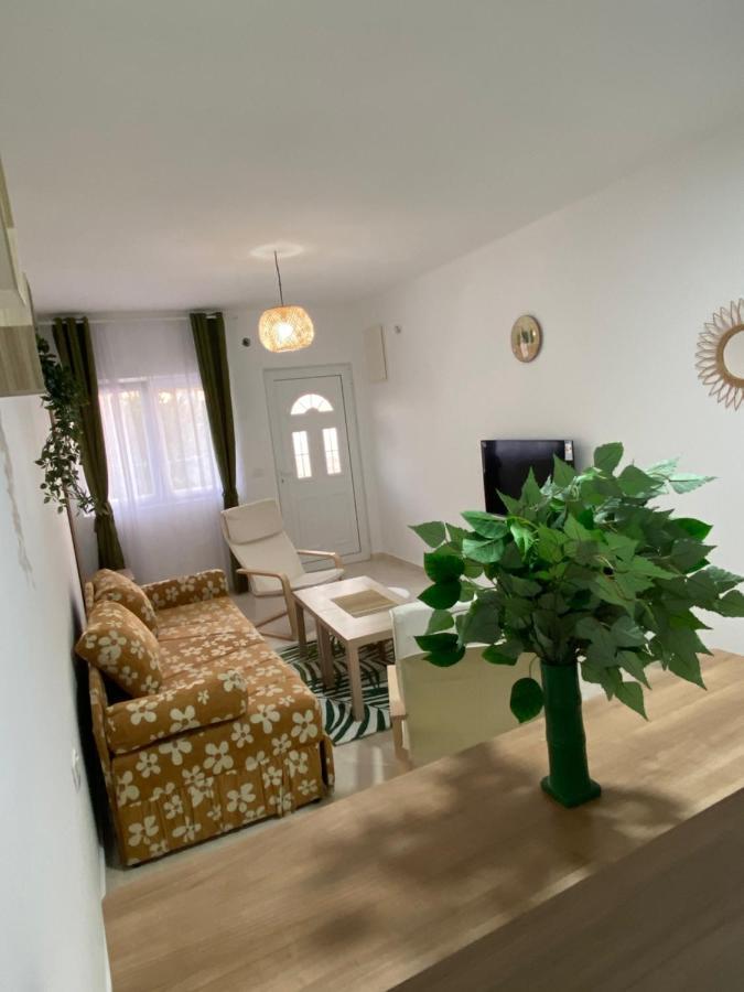 Kotor Apartman Green Sailor Ngoại thất bức ảnh